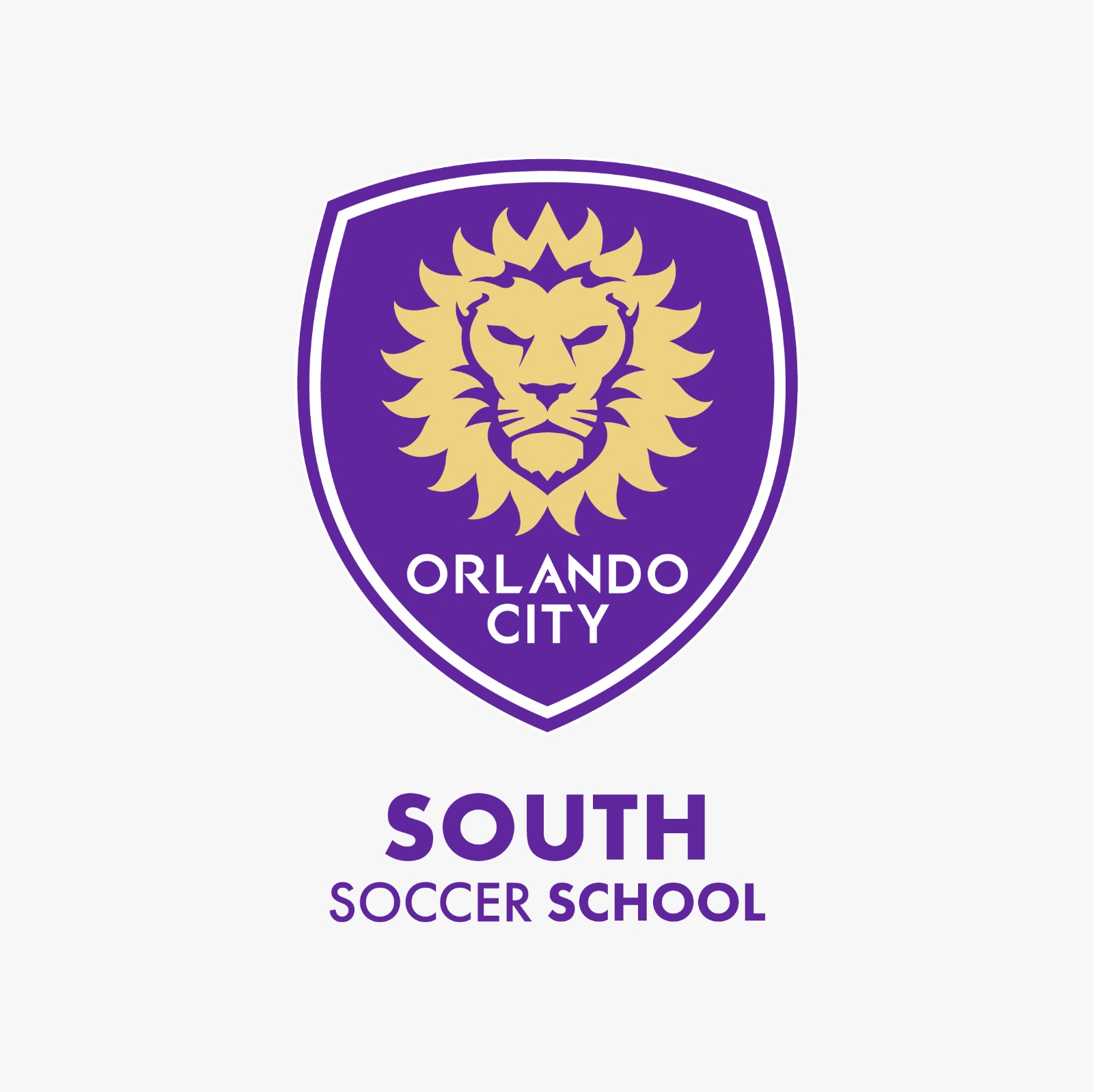 LOGO OCSS-SOUTH
